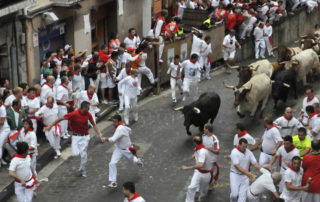 pamplona roncesvalles10