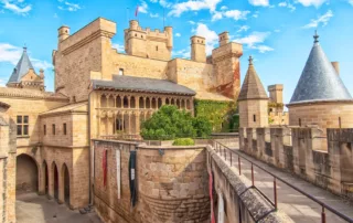 castillo olite navarra 98.jpg