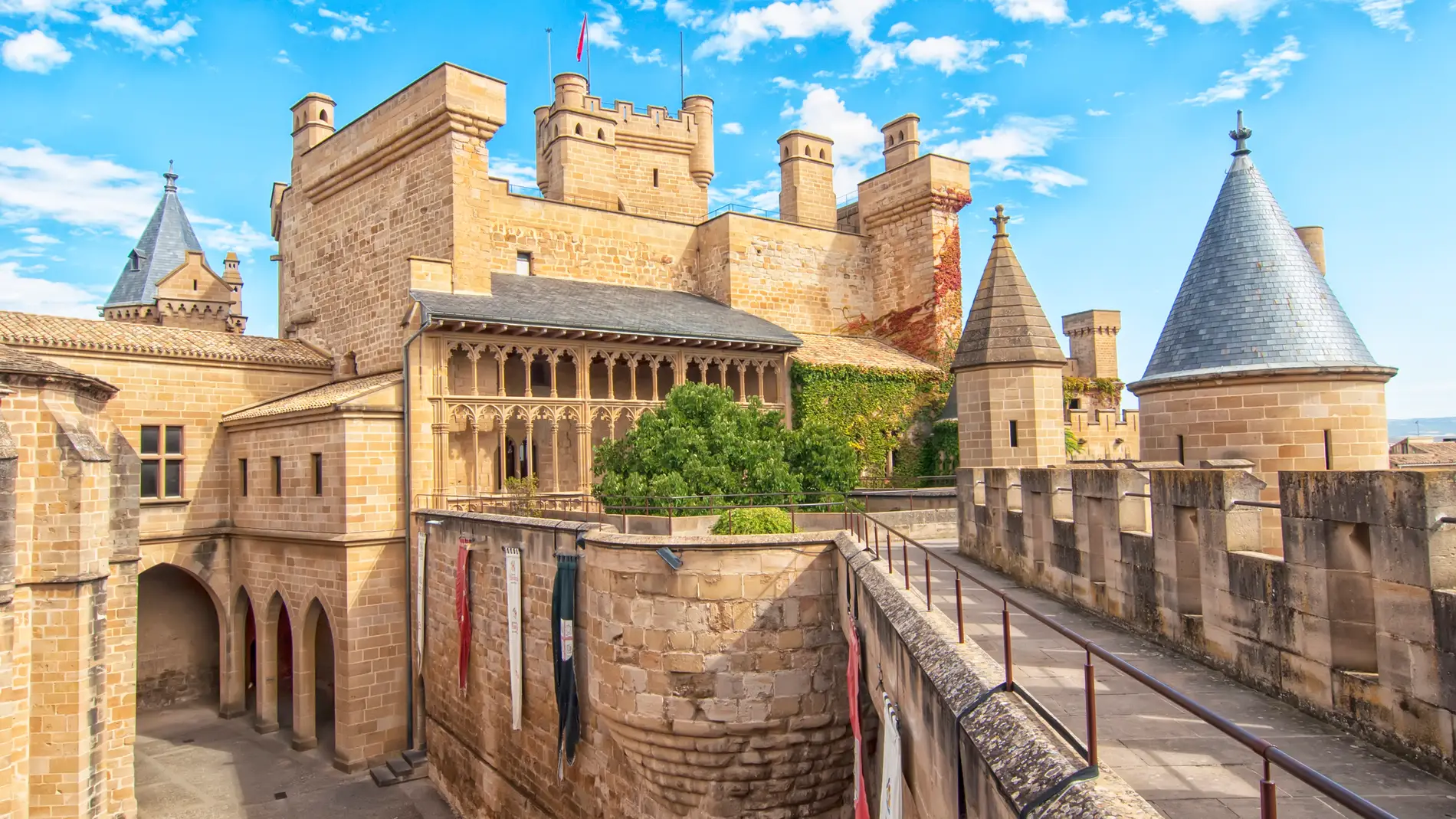 castillo olite navarra 98.jpg